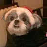 Fang Chow